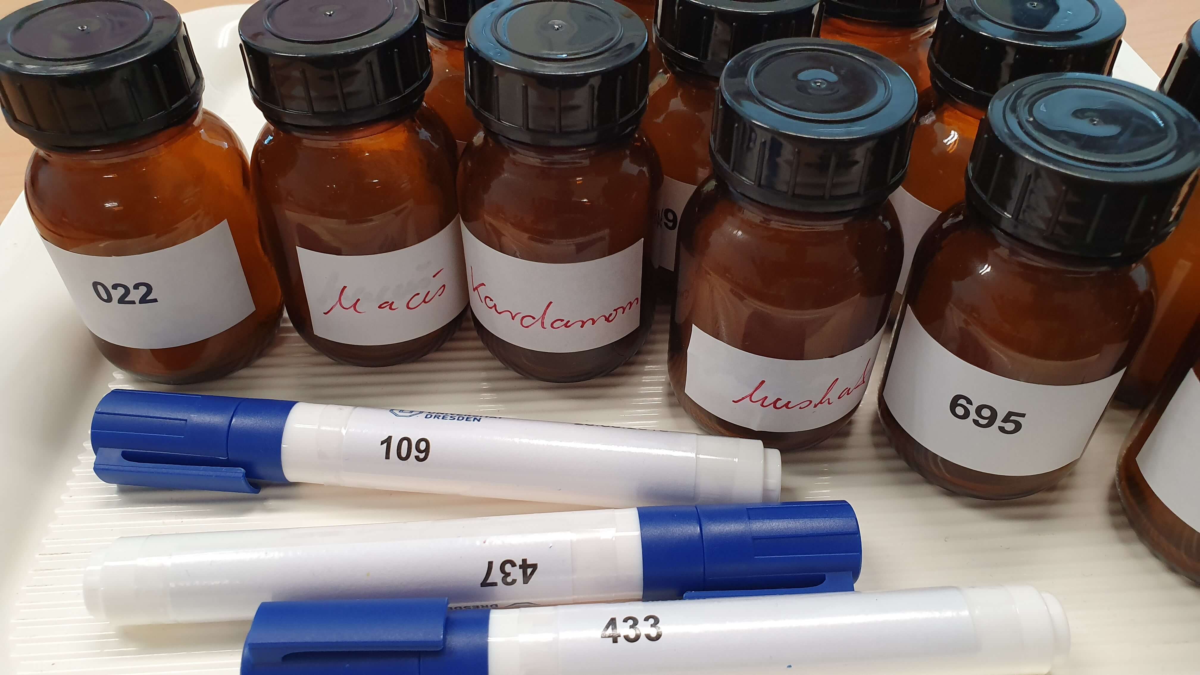 Unterricht Stollenprüfung Unterricht Stollenprüfung